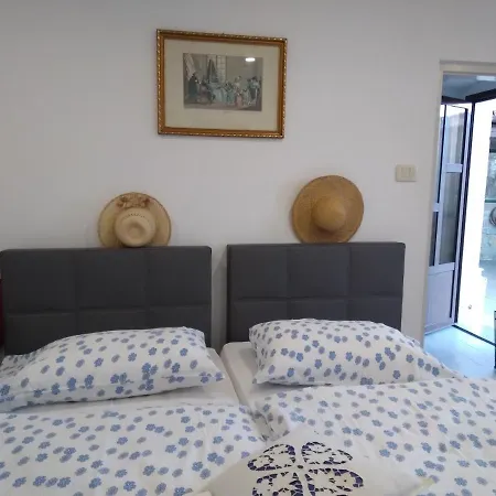 Tourist Farm With Fig Tree *