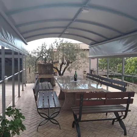 Tourist Farm With Fig Tree