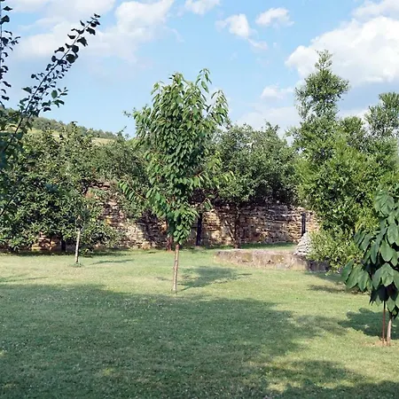 Tourist Farm With Fig Tree Lejlighed Dekani