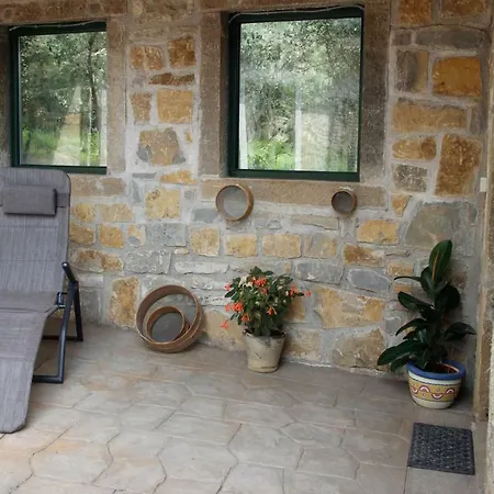 Apartment Tourist Farm With Fig Tree