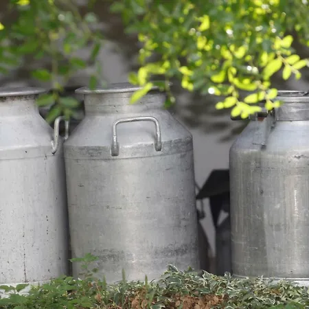 Tourist Farm With Fig Tree *