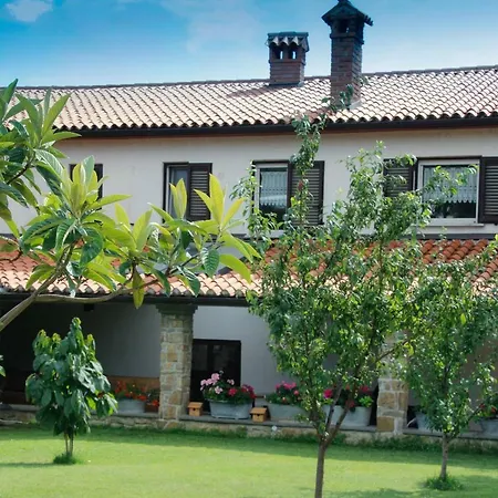 Tourist Farm With Fig Tree