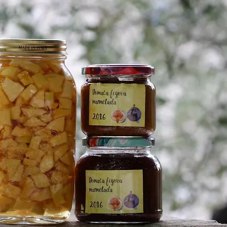 Tourist Farm With Fig Tree Apartamento