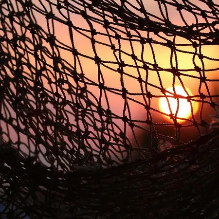 Lejlighed Tourist Farm With Fig Tree *