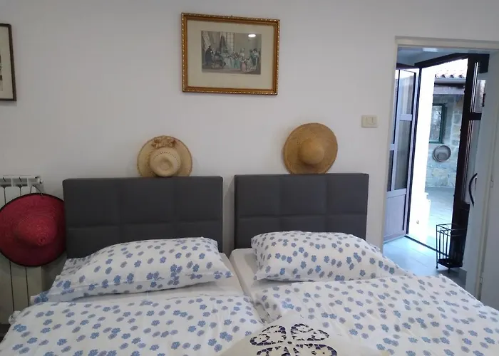 Tourist Farm With Fig Tree *