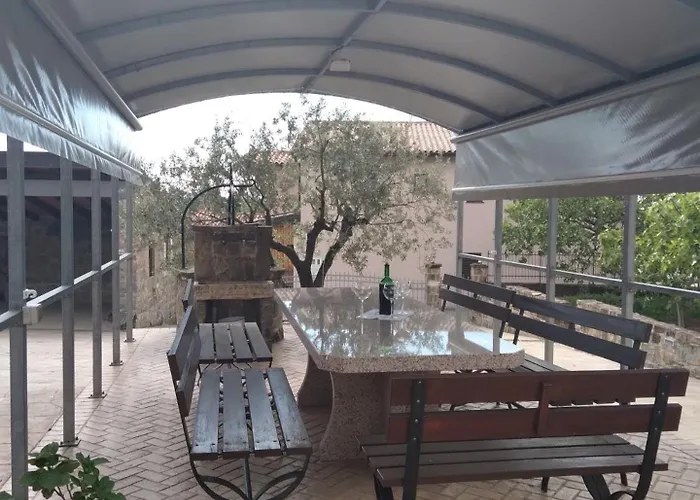 Tourist Farm With Fig Tree