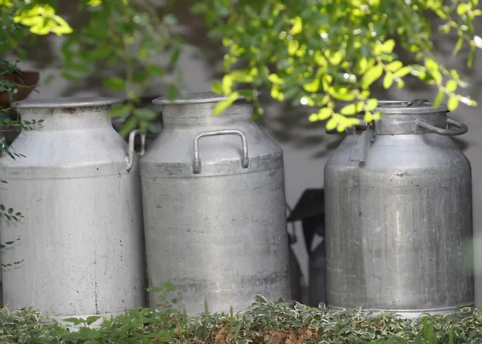 Tourist Farm With Fig Tree *