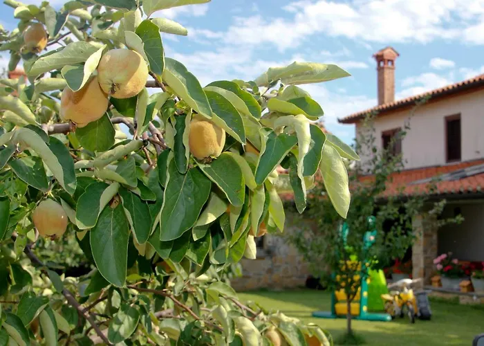Tourist Farm With Fig Tree Appartement Dekani