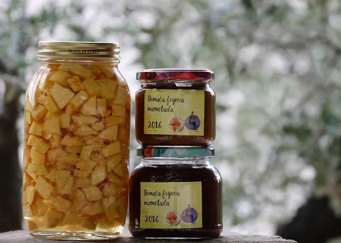 Tourist Farm With Fig Tree Appartement